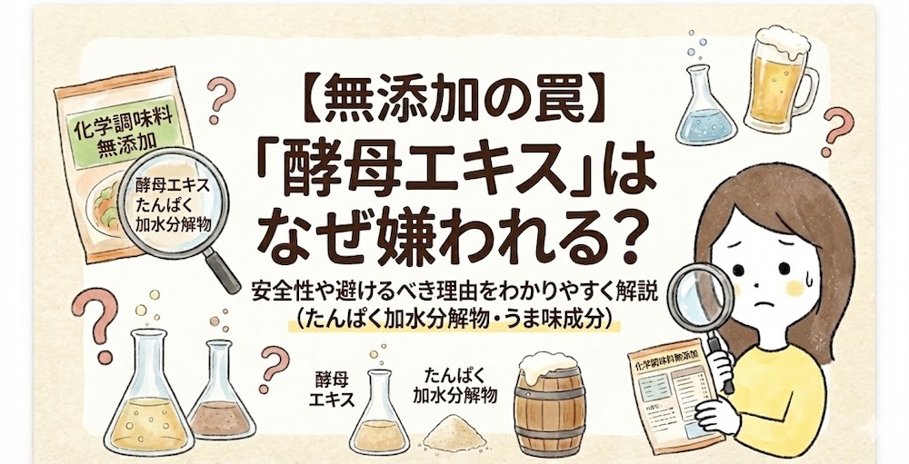 【無添加の罠】「酵母エキス」はなぜ嫌われる？安全性や避けるべき理由をわかりやすく解説
