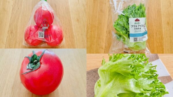 グリーンアイオーガニックの減の恵の野菜(トマトとレタス)の写真