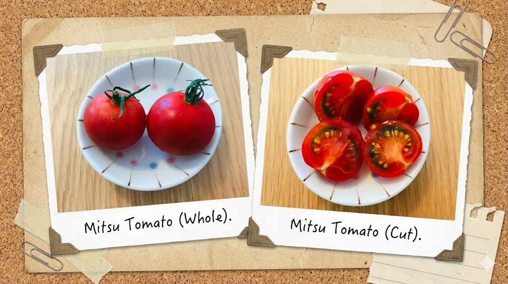 オイシックスのお試しセットで届いたみつトマトの写真