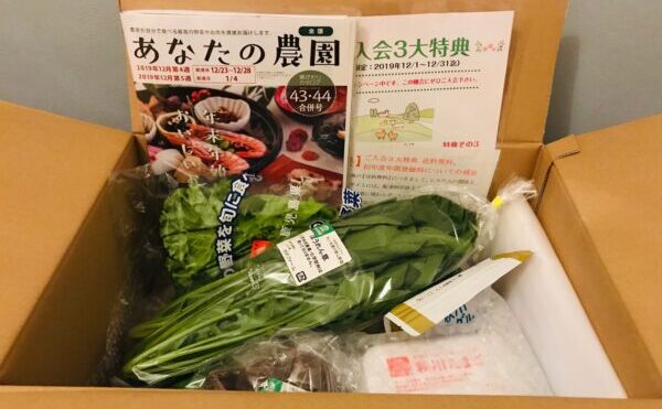 秋川牧園の冷蔵農園セットの箱を開けたところの写真