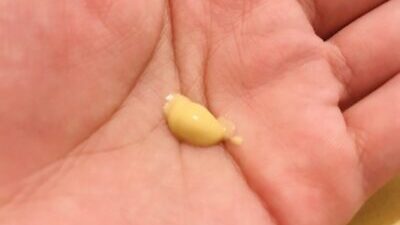 Dr.ハウシュカのクインスデイクリーム