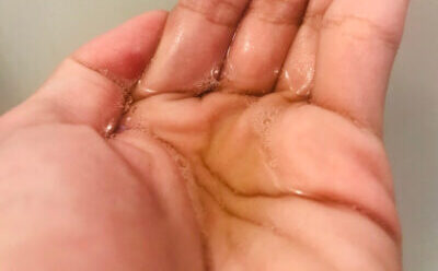 ハナオーガニックシャンプーのテクスチャ