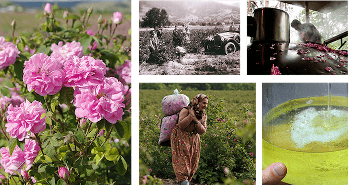 ハナオーガニック