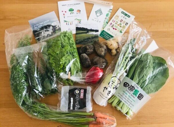 坂ノ途中宅配野菜の定期便の1回目に届いた野菜たちの写真