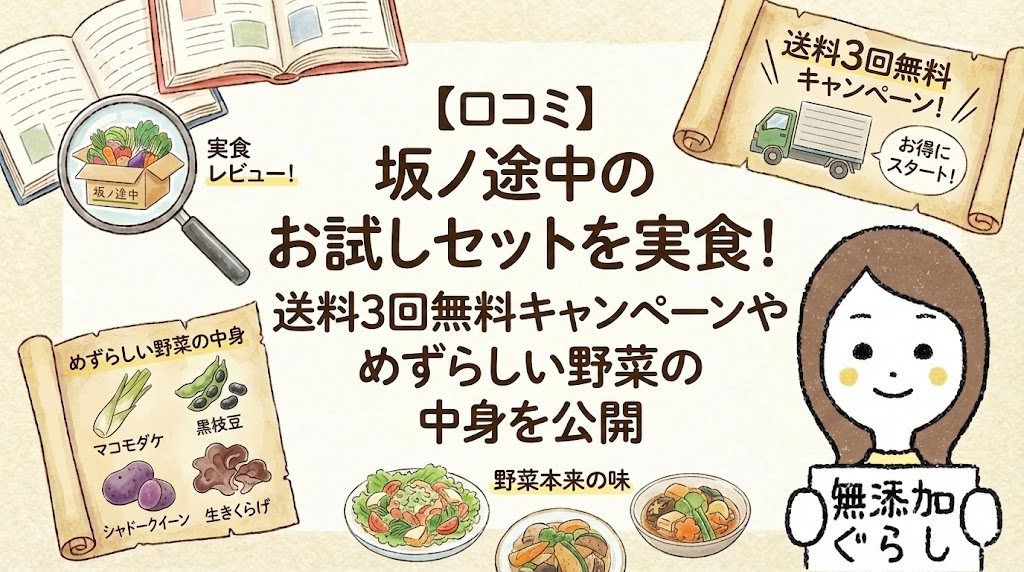 口コミ】坂ノ途中のお試しセットを実食！送料3回無料キャンペーンやめずらしい野菜の中身を公開のイラスト