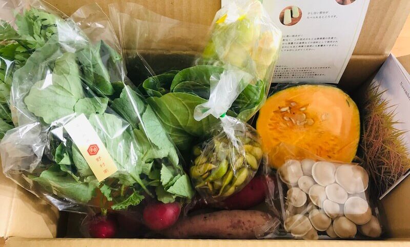 坂ノ途中のお野菜セットが段ボールに詰まっている写真