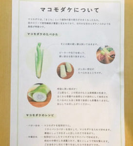 坂ノ途中 マコモダケの説明書