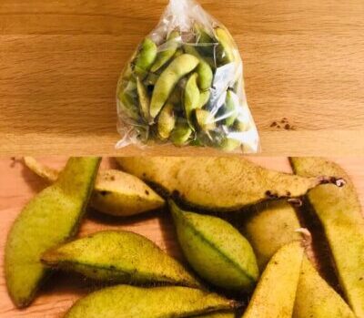 坂ノ途中の定期コースセットに入っていた黒枝豆の写真