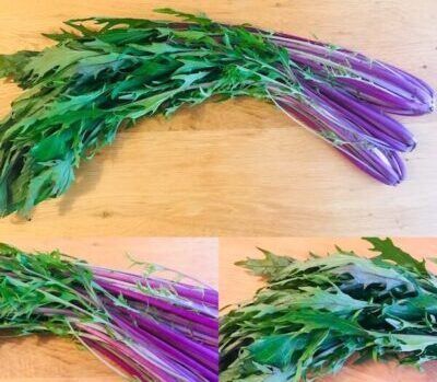 食べチョクの定期野菜便で届いた赤水菜の写真