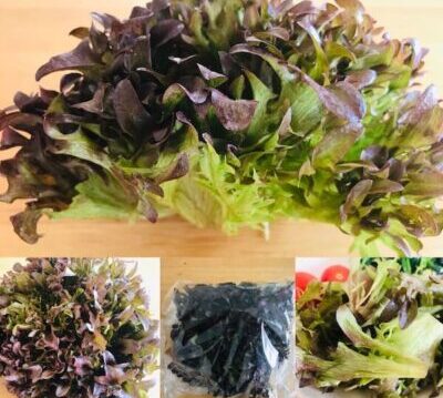 食べチョクコンシェルジュのレタスの写真