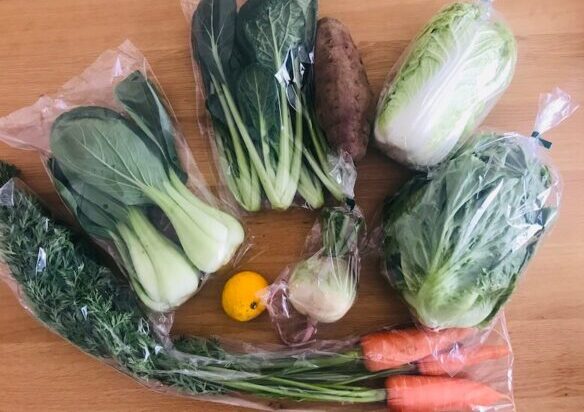 食べチョク 届いたお野菜