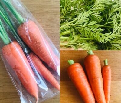 食べチョクの定期野菜便で届いた葉付き人参の写真