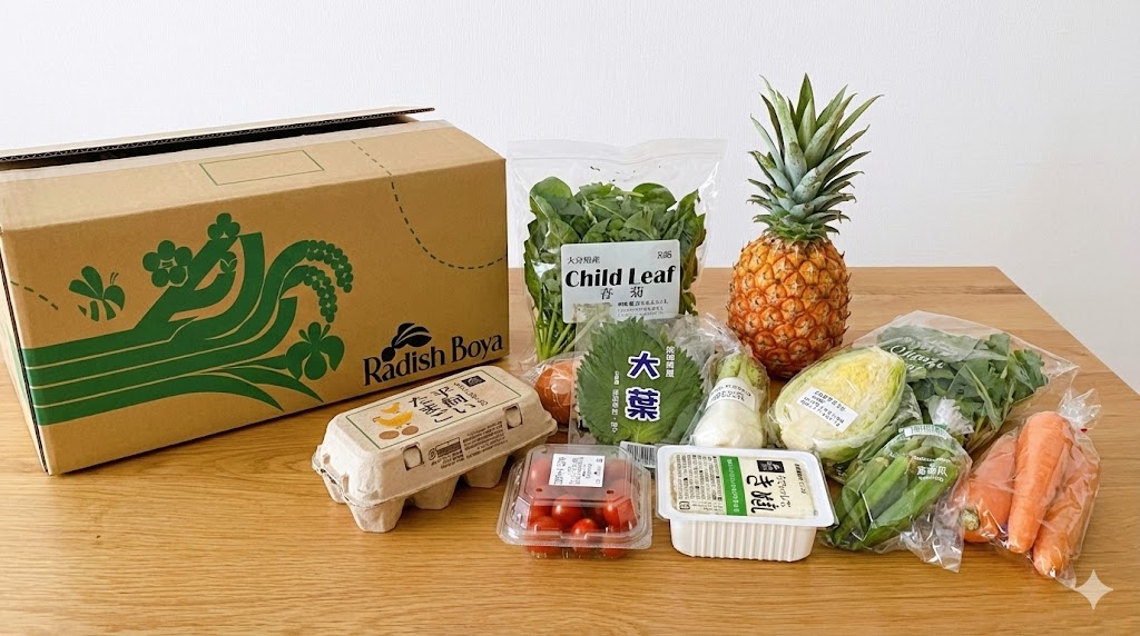 実際に取り寄せたらでぃっしゅぼーやのお試しセットの写真