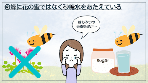 蜂に砂糖水を与えている