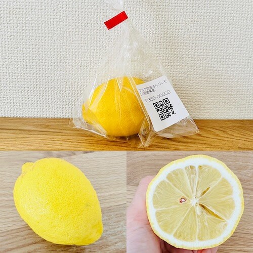ココノミ初回限定選べるお得セットの無農薬レモン