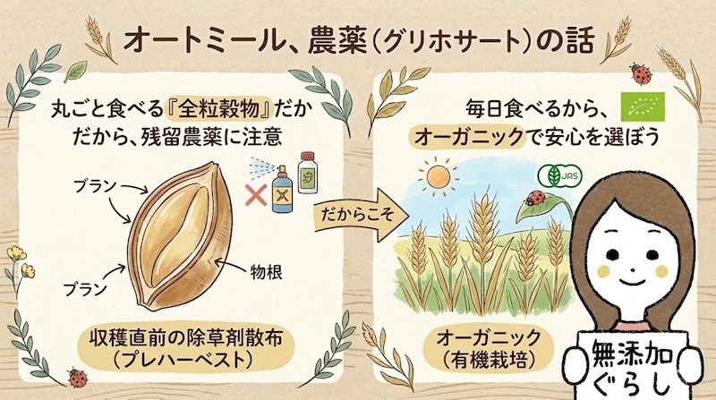 オートミールの農薬のリスクのお話のイラスト
