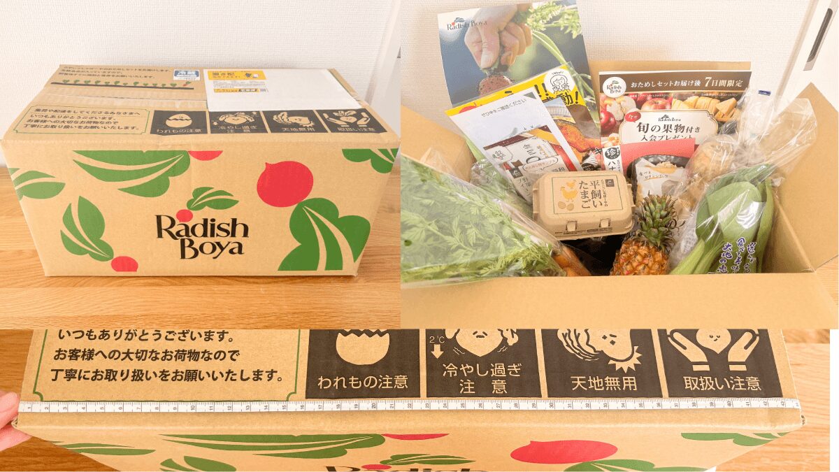 らでぃっしゅぼーやのお試しセットのダンボール外箱とダンボールを開けたところ、ダンボールの大きさを測る写真